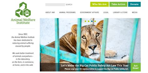 12 Best Charities That Protect Wild Animals (Complete 2024 List).